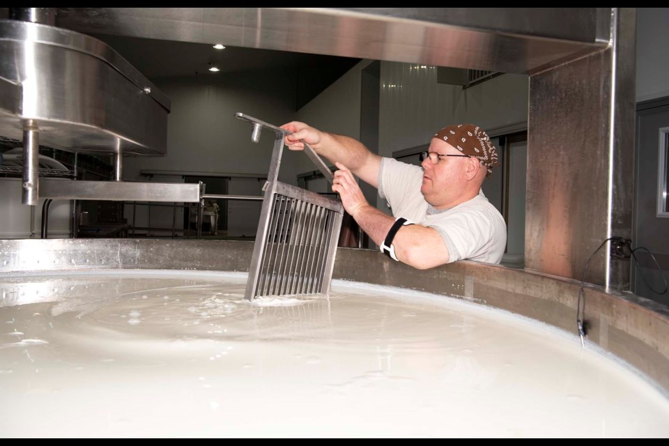 ONE BIG GLASS – Cheesemaker Ian Treuer installs a set of blades on a mixing arm at the Lakeside Farmstead cheese factory. The vat shown here contains about 2,500L of milk. KEVIN MA/St. Albert Gazette