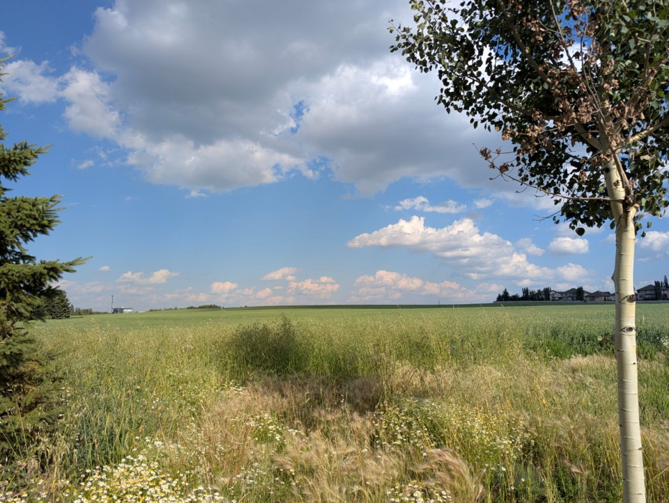 2907-kingswood-field