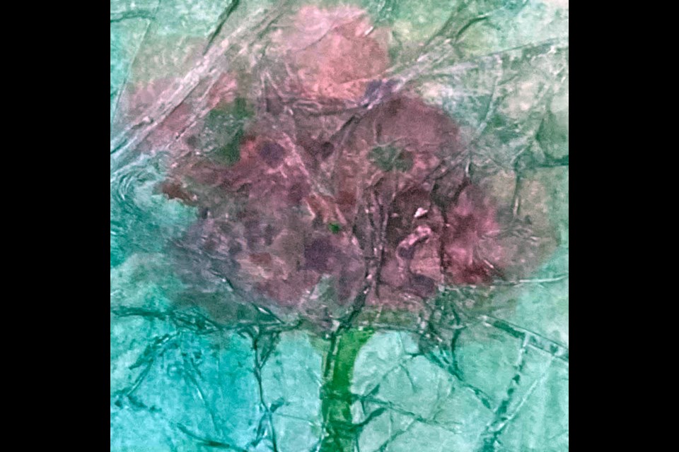 Elizabeth Hurley showcases her art at The Bookstore on Perron throughout the month of August.
