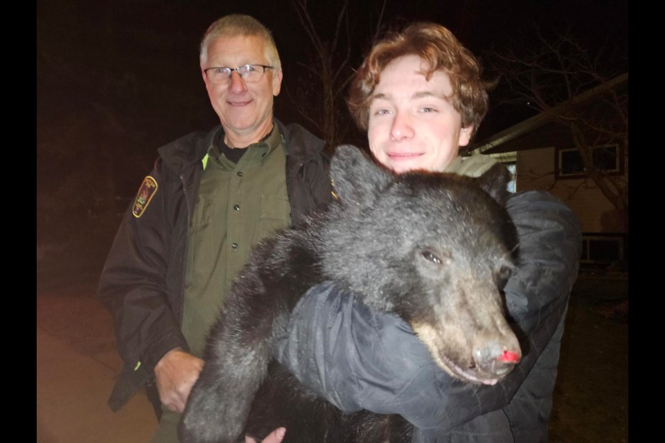 Nineteen-year old Tim Hnatiw of Westlock holds a bear cub captured in an east-end neighbourhood Halloween night, Oct. 31, while Mike Ewald, provincial problem wildlife specialist with Fish and Wildlife Enforcement Services, looks on. Following further assessment of the bear cub, it will not be relocated as originally planned and is now in the care of Fish and Wildlife Alberta.  