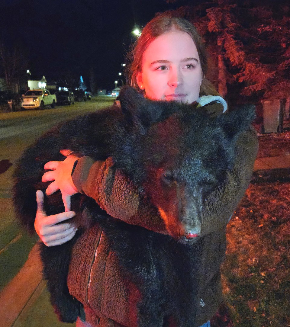 bear-update-rehab