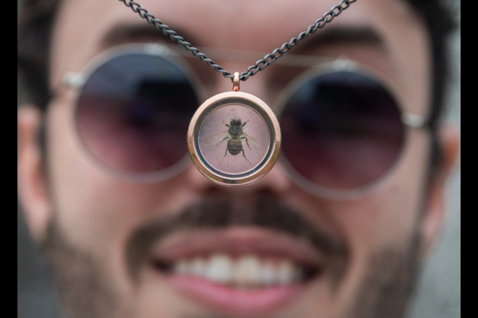 Ilan Domnich shows a honey bee under glass at his display from the Entomological Society of Alberta during World Migratory Bird Day in Lois Hole Park in St. Albert on Saturday, May 11.(JOHN LUCAS/St. Albert Gazette)