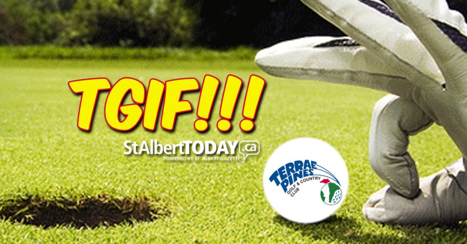 !TGIF Terrae Pines