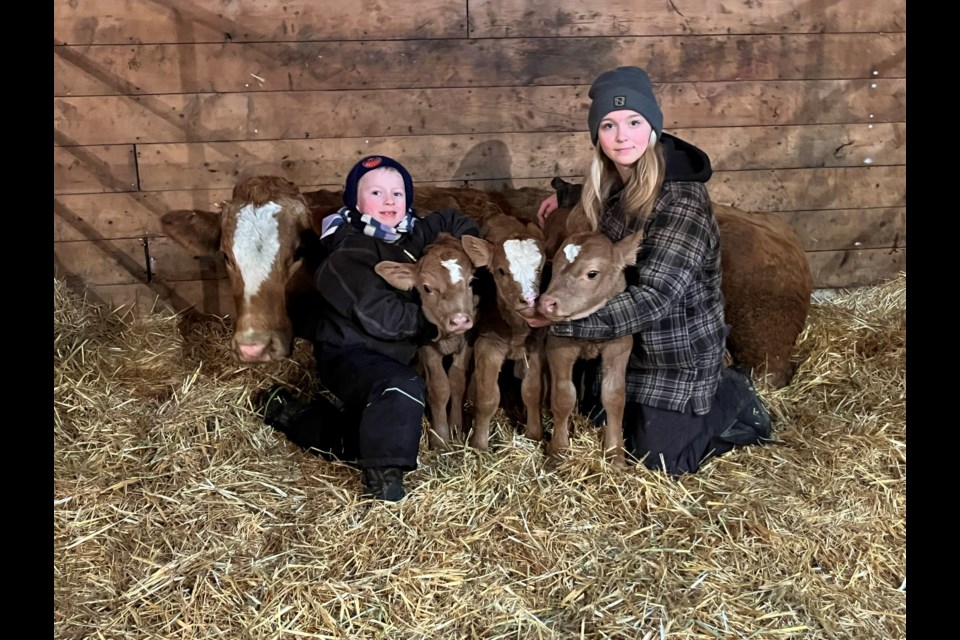 Joe and Ella Perreault with triplet calves born Jan. 9 on the Perreault Farm just east of Busby