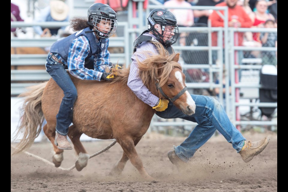 Kids try to ride the wild pony at the Rainmaker Rodeo in St. Albert on May 27. 
BRUCE EDWARDS/ St. Albert Gazette