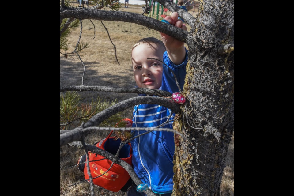Four-year-old Gavin Beranek had fun during the Oakmont Easter Egg Hunt in Olivier Park on Sunday April 9. (JOHN LUCAS/St. Albert Gazette)