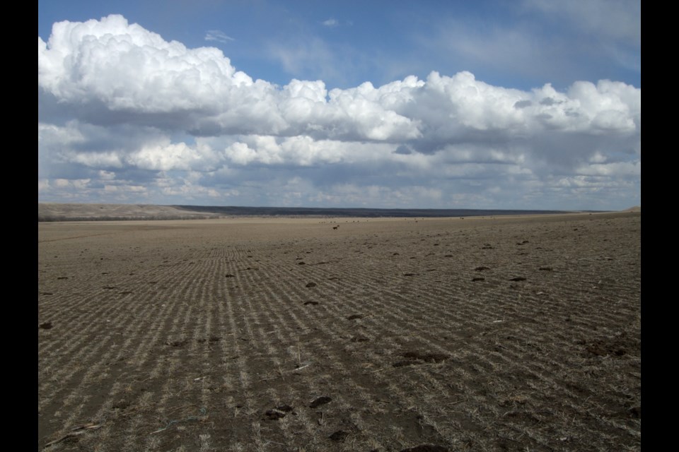Consecutive drier-than-normal years have made drought, fire, and agricultural disasters top issues for Alberta municipalities.