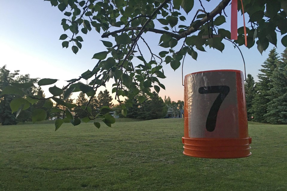 Disc golfers in St. Albert set up a temporary nine-hole course in Langholm Park by hanging buckets from trees. According to the UDisc app, the course has grown in popularity with three or four recorded games per day. SUPPLIED