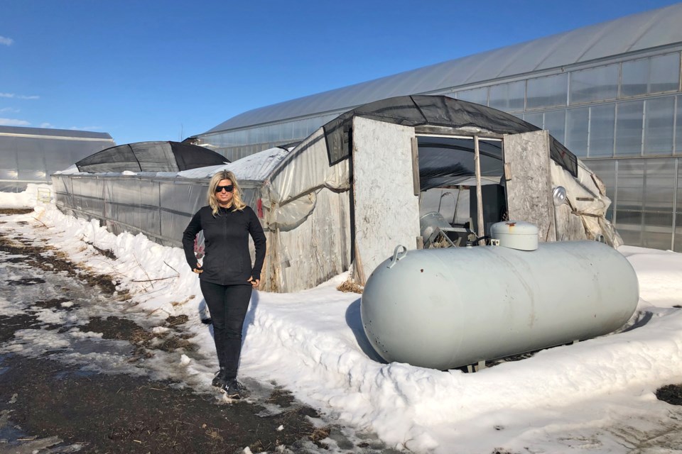 Debbie Foisy, owner of Deb’s Greenhouse, discovered their older greenhouse had collapsed, buckling underneath the weight of accumulated snow and high winds. BRITTANY GERVAIS/St. Albert Gazette