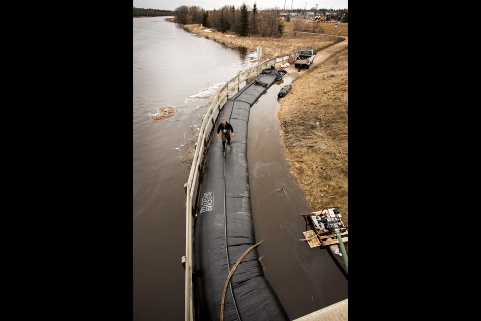Public works employee Kevin Veenstra walks along a bladder full of water during installation of an AquaDam under the Ray Gibbon Drive bridge on Thursday. The experiment with the new dam will replace the annual scaffold walkway to get pedestrians and cyclists around the swollen Sturgeon River during spring runoff. 
DAN RIEDLHUBER/St. Albert Gazette