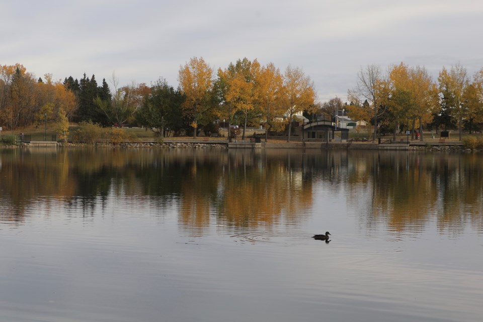 0710 Fall pic JN 07