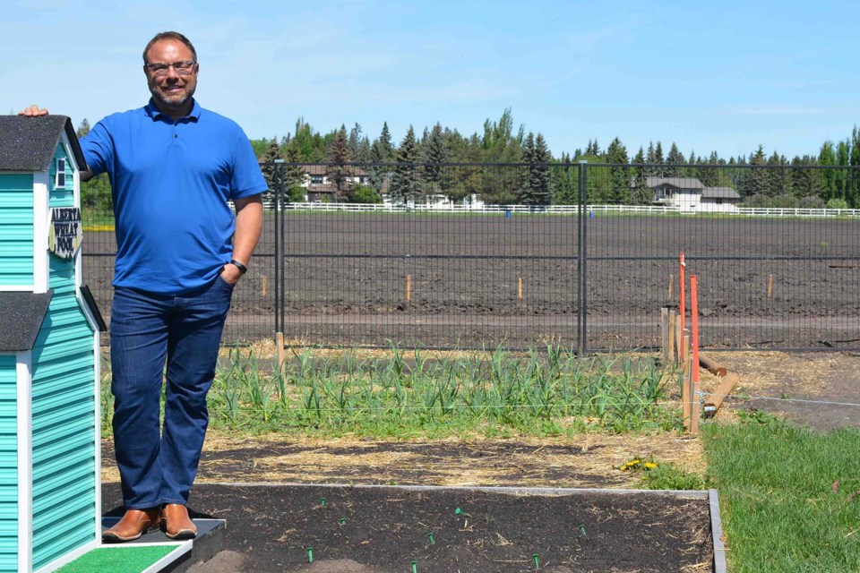 David Benjestorf is pretty proud of his Pandemic Planting Project, but he isn't resting on his laurels. The Edmonton lawyer who also sits on the board of the Edmonton Food Bank has a full-time job ahead of him on this 11-acre plot of land just west of St. Albert. He's growing fresh vegetables to donate. SCOTT HAYES/St. Albert Gazette