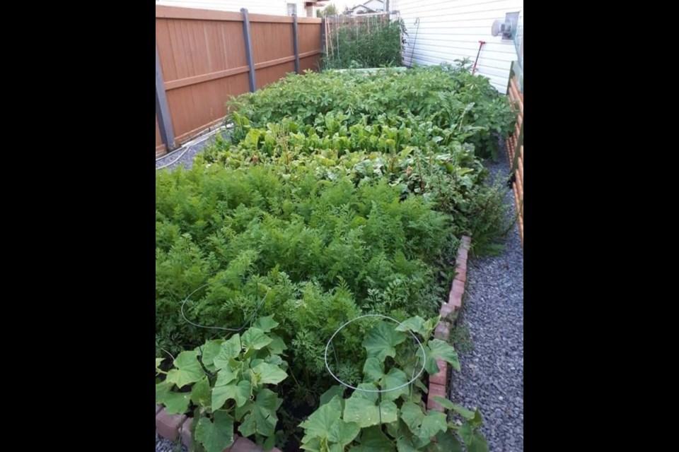 When Aida Mustapic and her husband decided to move to St. Albert more than 10 years ago, they knew they needed to start a family garden. SUPPLIED/Photo