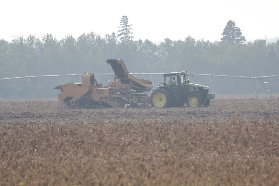 1409 potato farmers (2) jf CC
