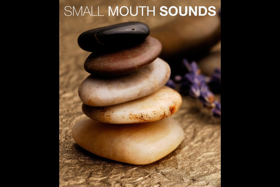 Silent Mouth Sounds pokes a stick at six participants attending a trendy silent nature retreat in Small Mouth Sounds playing at Theatre Network at the Roxy on Gateway until March 24. 