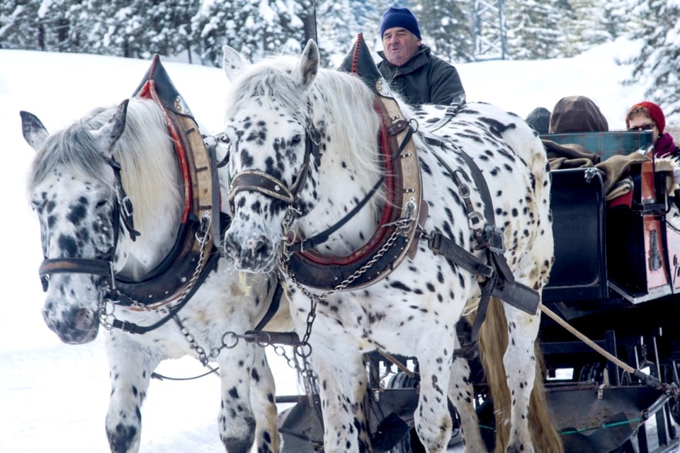 10 - Horse Drawn Sleigh