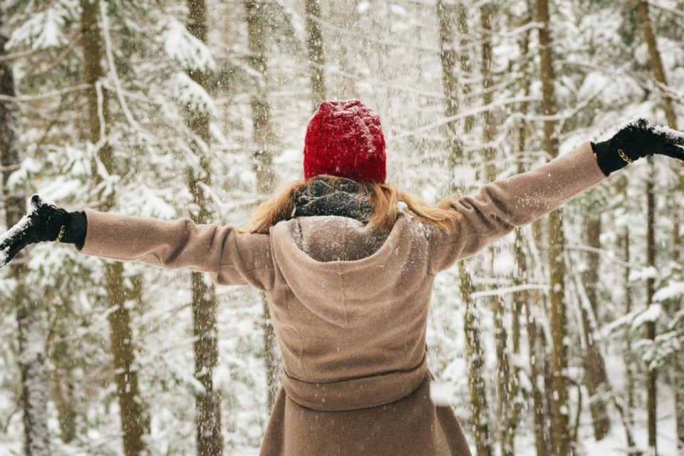 7 - Winter Festival in Lakeland