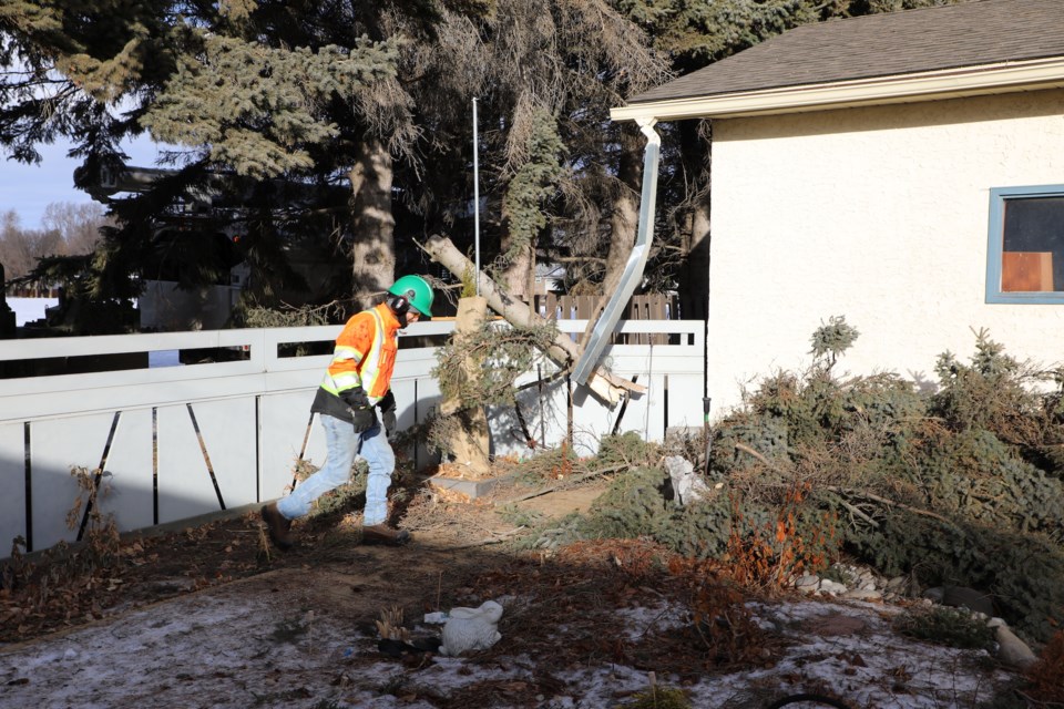 Residents on Sonora Drive lost power when a tree fell on a power line Tuesday night. City workers clean up debris from Des Chorney’s yard. JESSICA NELSON/St. Albert Gazette