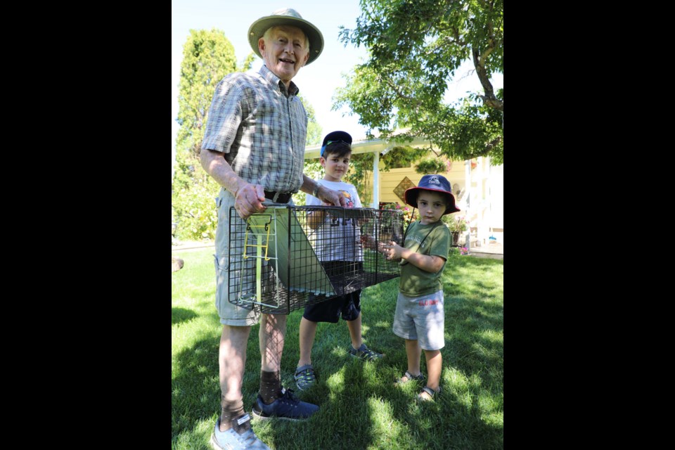 Douglas Wilson (left), stands with neighbours Kassius (centre), and Maxwell (left) Mirkhani beside a porcupine trap on Aug. 17, 2022 in Wilson's yard. So far the trap has been used to catch five porcupines. JESSICA NELSON/St. Albert Gazette