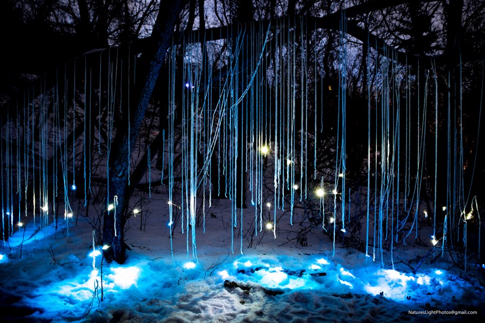 These light tendrils evoke the magic and mystery of the night during Flying Canoë Volant running March 1 to 6 at Edmonton's French Quarter.