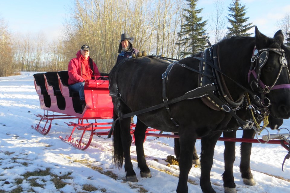 Morris Presisniuk (left) sits on his new horse-drawn sleigh with good friend Elvin Greianya. The two horses pulling the sleigh are Knight and Peanut.