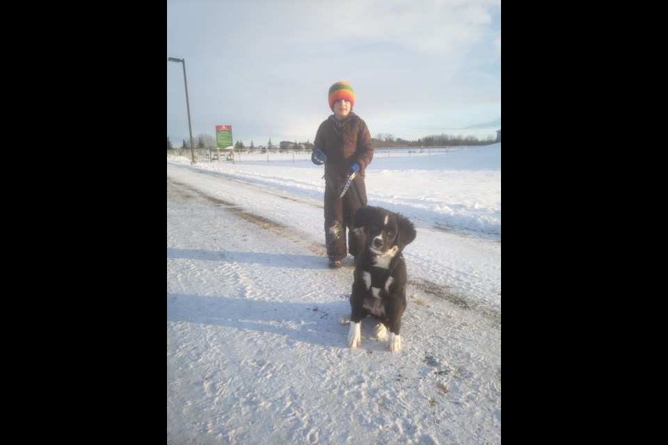 Seven-year-old Sullivan walking his new best friend Sky. Sullivan Silver and his family moved from St. Albert to Movinville during the pandemic and it has been hard to make friends, so Sky has kept Sullivan company. 