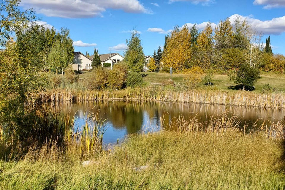 St. Albert in full autumn splendour is truly a sight to behold. CATHY CANDY/Photo