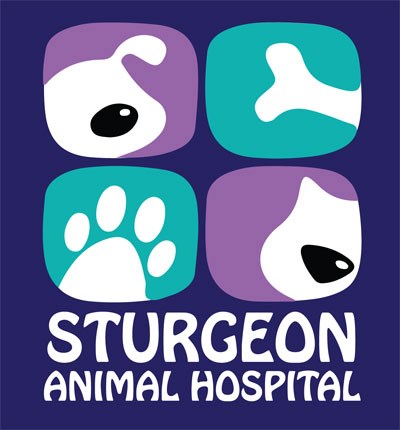 Sturgeon-Animal-Hospital-NEW-400