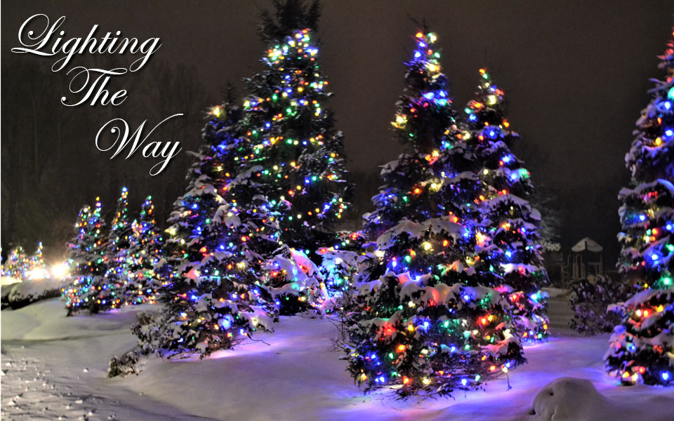 Lighting The Way
