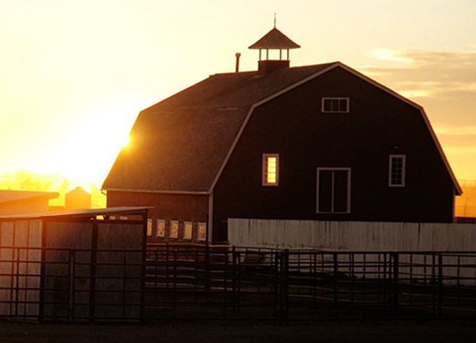 Olds College Barn Photo