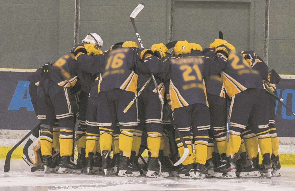 hockey raiders blurred jerseys