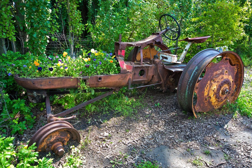 instagram tractor flowers CC 3867