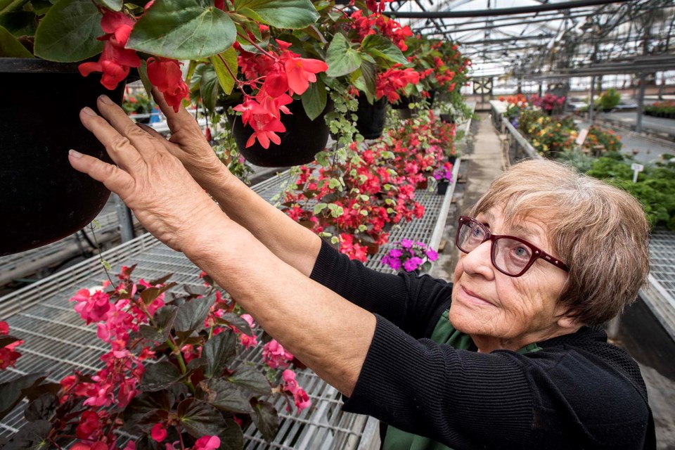 0307 Morinville Greenhouses DR006