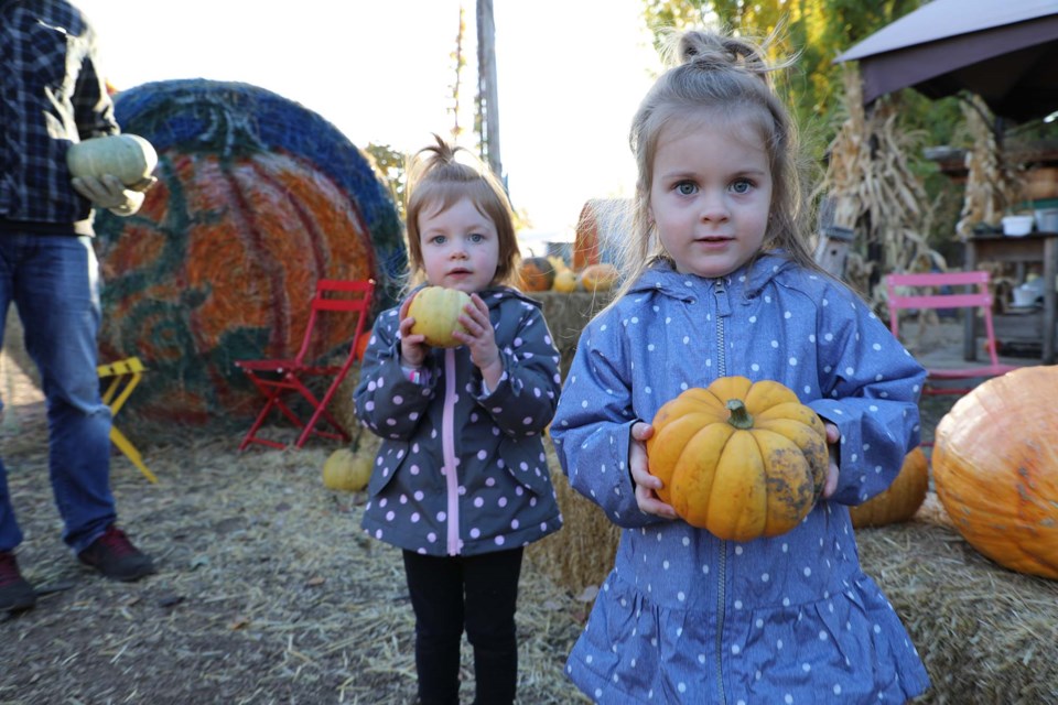 Peyton (front) and Quinn Blixrude hold pumpkins they picked at Prairie Garden on Oct. 8, 2021. JESSICA NELSON/St. Albert Gazette