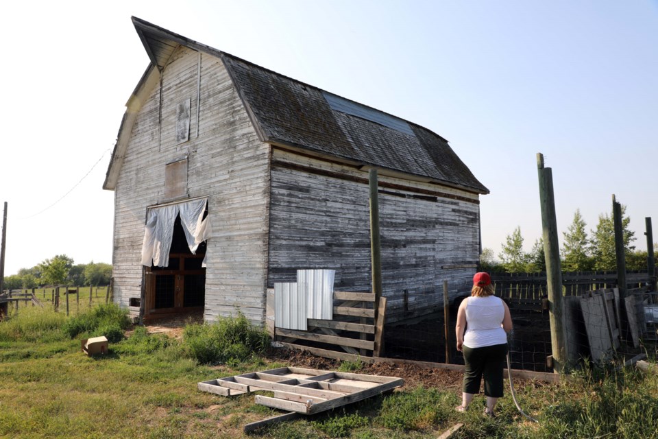 Jenna Bartman waters her pigs on her acreage, PrairieTree Manor, on July 8, 2021. JESSICA NELSON/St. Albert Gazette