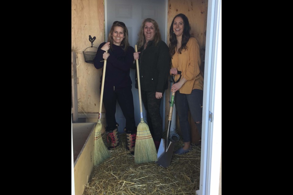 Monique Webb, left, Sandra Wood, and Erika Mckinstry are teachers on the Ecole Morinville Public School Chicken Care Team. Here they demonstrate coop care. SUPPLIED/Photo