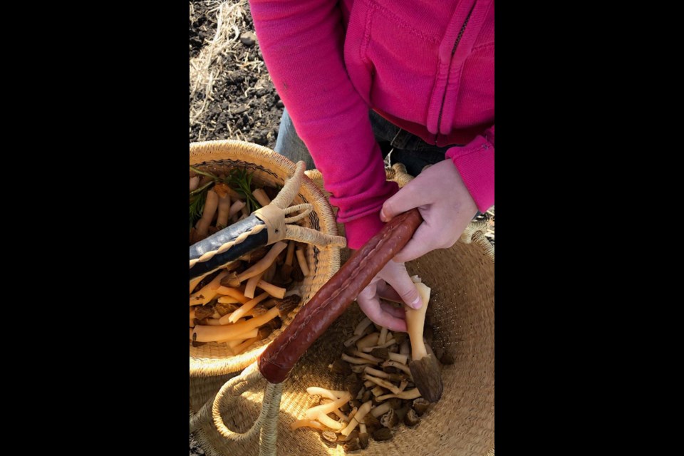 Morels is a basket. TOBYLAUREN BURGESS/Photo