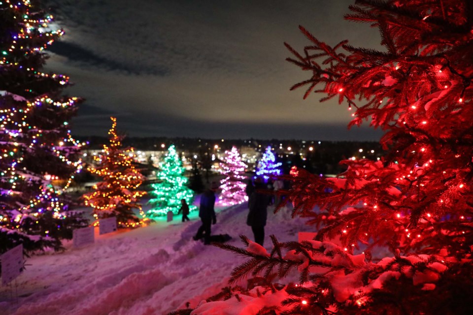 The multi-coloured trees are community trees sponsored by individual light bulb donations or corporations. The solid-coloured trees are sponsored by businesses, organizations, or families in memory of a loved one. JESSICA NELSON/St. Albert Gazette