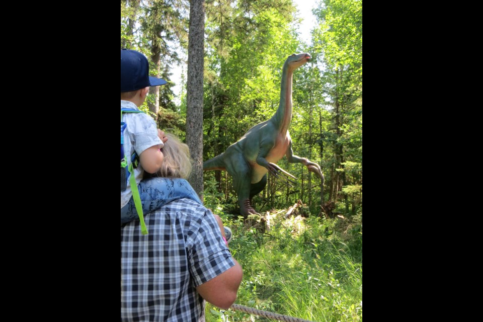 A grandpa and his grandson listen to the rumble of a therizinosaurus and comment on its long claws. The animatronic dinosaur is one of Jurassic Forest's  latest aquisitions. ANNA BOROWIECKI/St. Albert Gazette