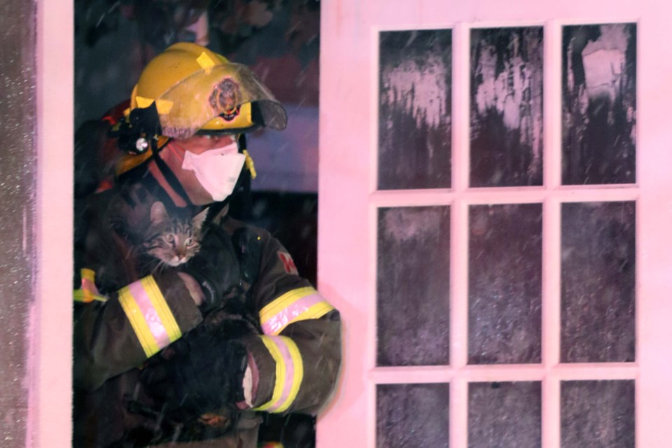 A St. Albert firefighter cradles a cat that he pulled out of a big blaze at a home in Mission on Sunday. The cat was one of at least six rescued from the fire, with included a mother cat with several of her kittens. TRISTEN STONEMAN/Photo
