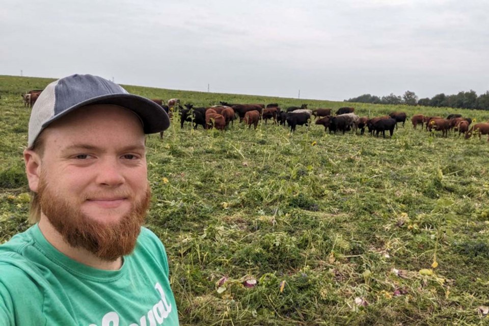 Michael Groot, farmer, stands with the cows his neighbour has provided for rotational grazing to enhance the soil on the family potato farm. SUPPLIED/Michael Groot