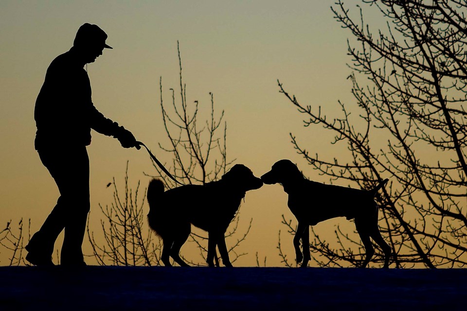 off leash Set-0476-ab CC