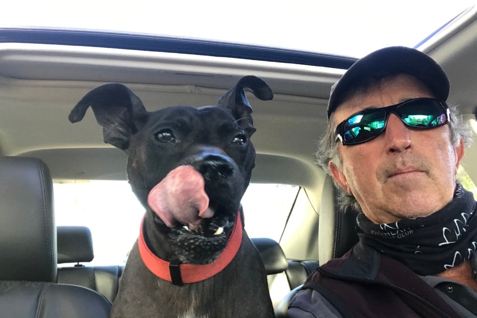 Reporter Gary Poignant and his 10-year old American Staffordshire terrier, Harley, enjoy a little quality time. The president of the Alberta Medical Veterinary Association said pets have been more important than ever for emotional support since the pandemic hit Alberta. GARY POIGNANT/Photo
