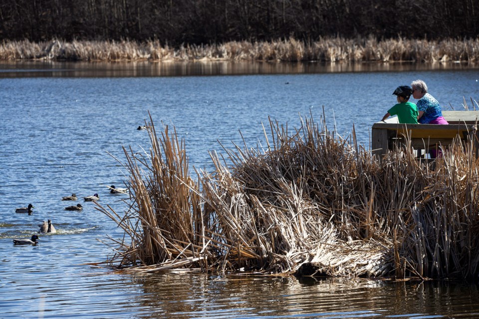 SA or IG grandin pond CC 1434