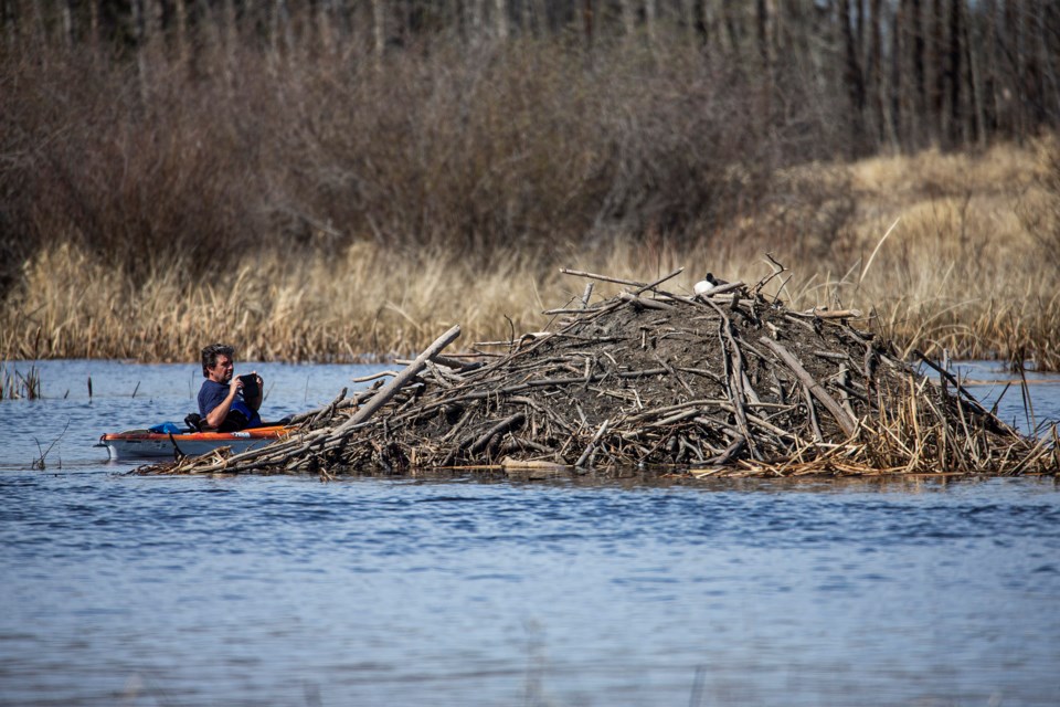 SA or IG kayaker and beaver lodge CC 2054