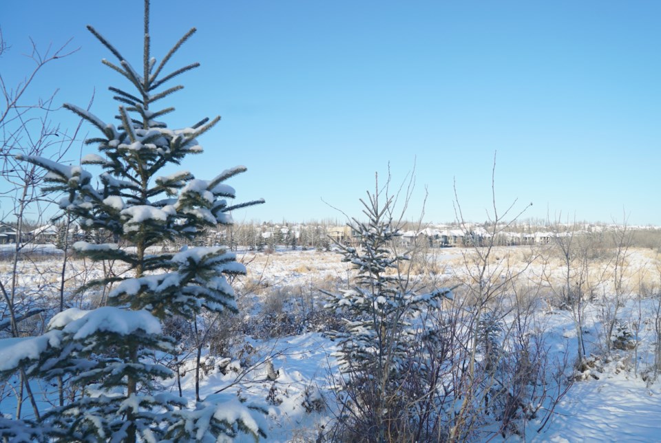 snow-warning-friday