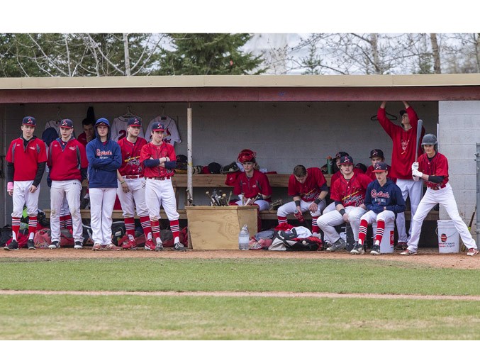 0106 cardinals CC 8934