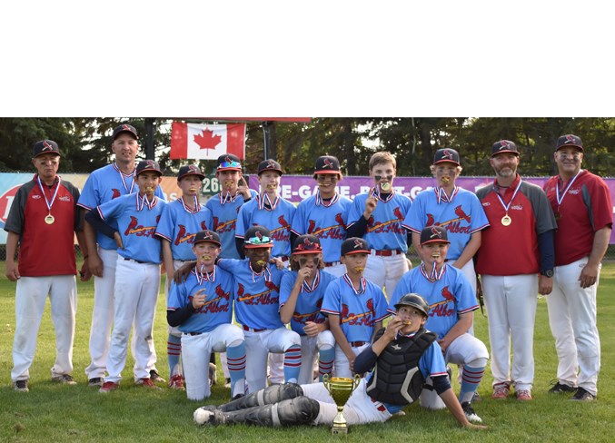 1008 13U cardinals