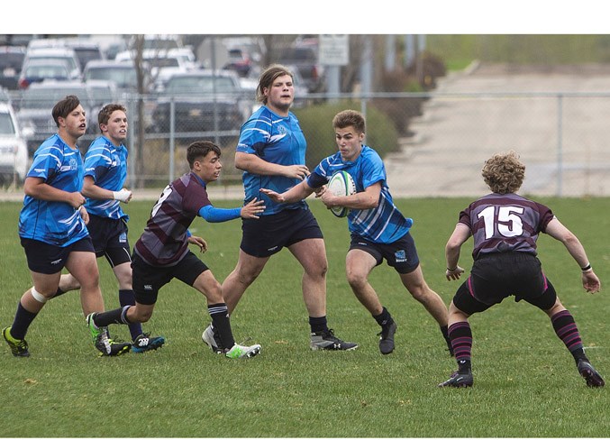 ATTACKER – Will Diederichs of the Paul Kane Blues attacks an opening against Matt Tuck, left and Josh Looker of the Bellerose Bulldogs in the Gareth Jones Cup on Wednesday at St. Albert Rugby Football Club. Paul Kane erased a seven-point deficit with two second-half tries for the 14-7 victory in the metro Edmonton division two match. It's the first Gareth Jones Cup for Paul Kane since 2015. 
CHRIS COLBOURNE/St. Albert Gazette