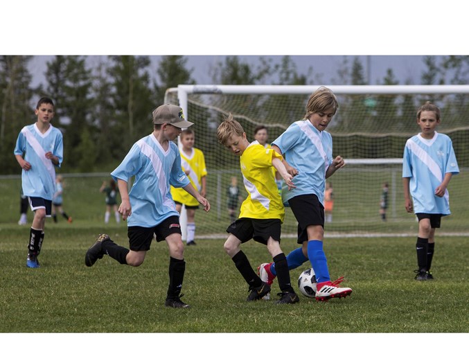 SOCCER FEST SCRIMMAGE – The Yellow Bananas and Blue Berries play a mini game in the U11 division at the Canada Soccer Active Start Soccer Fest on Sunday. The season windup for U9 and U11 teams in the St. Albert Soccer Association was held at Riel Park.
CHRIS COLBOURNE/St. Albert Gazette